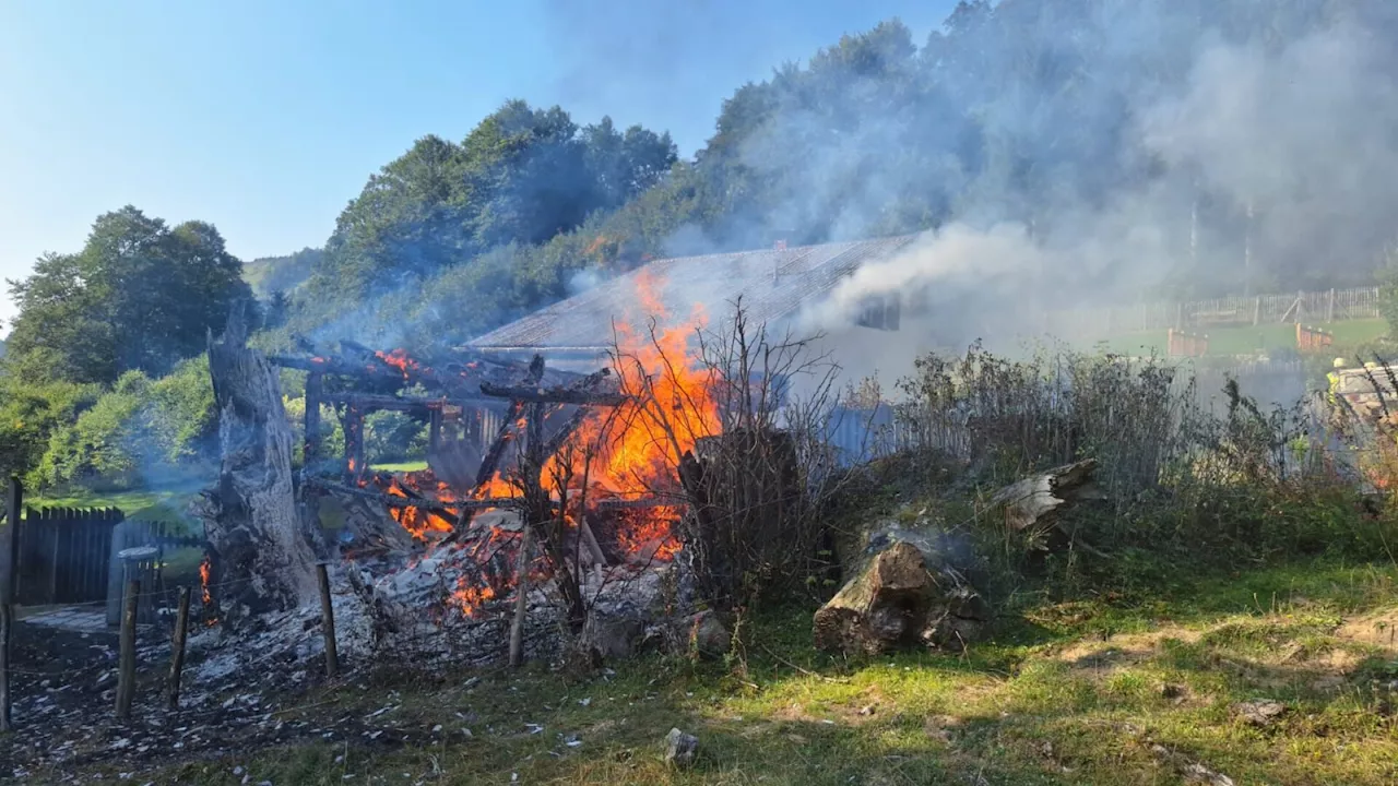 Brand am Lilienfelder Muckenkogel: Großeinsatz auf 1.000 Meter Seehöhe