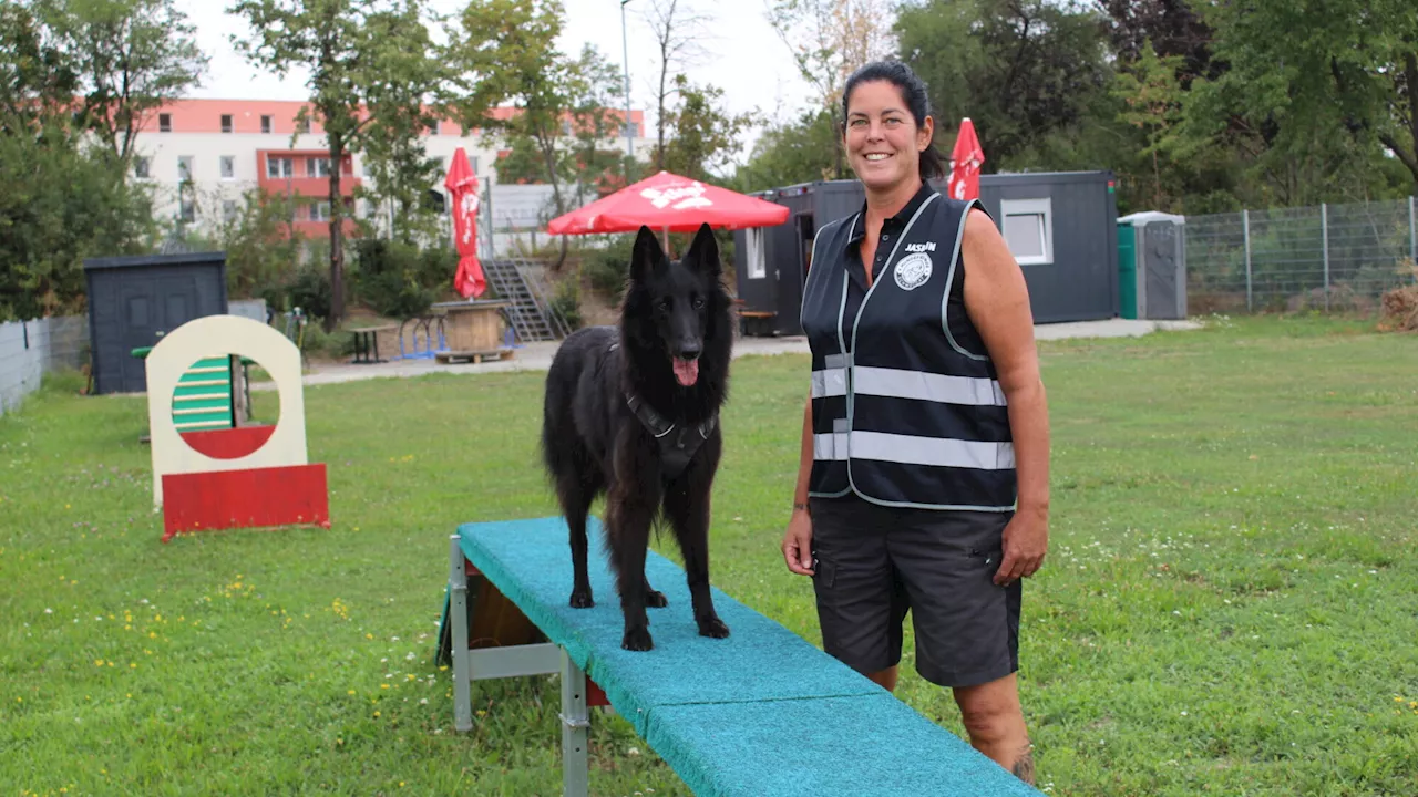 Schwechater Trainingsplatz für Hunde soll auch Hundeangst abbauen