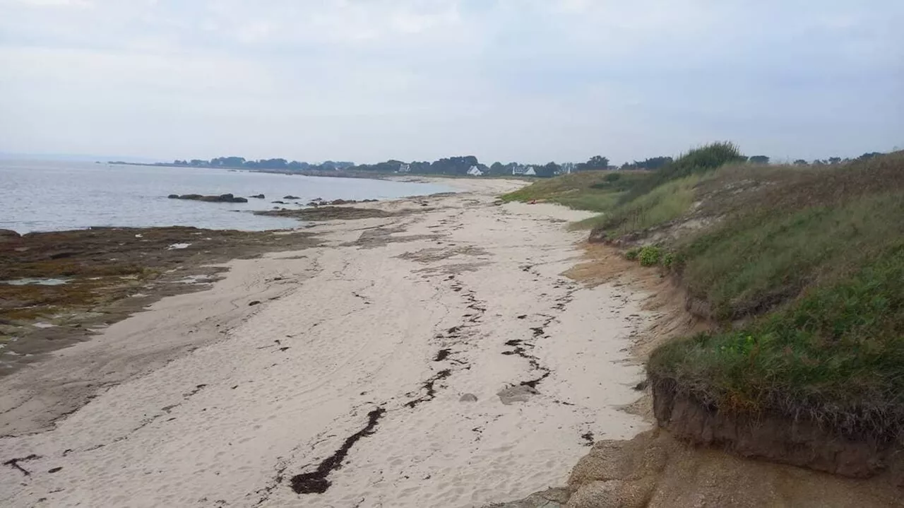 Présence d’E. Coli : cette plage du Finistère interdite de baignade