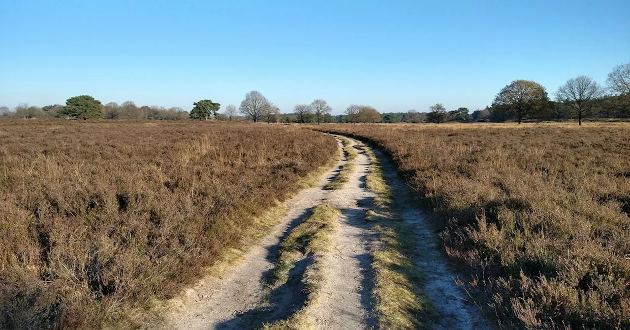 Midden-Drenthe bezorgd, Aa en Hunze verrast door uitbreidingsplannen Defensie