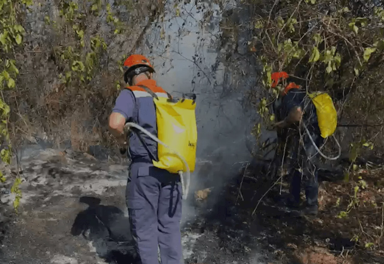 Incêndios em SP: sete cidades estão com focos ativos, diz Defesa Civil