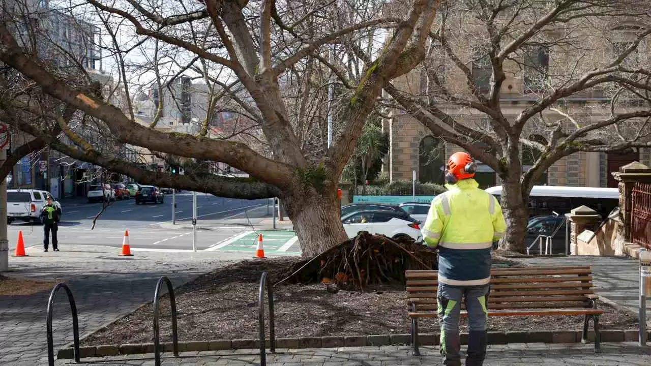 Fresh warning as ‘destructive’ winds batter southern states