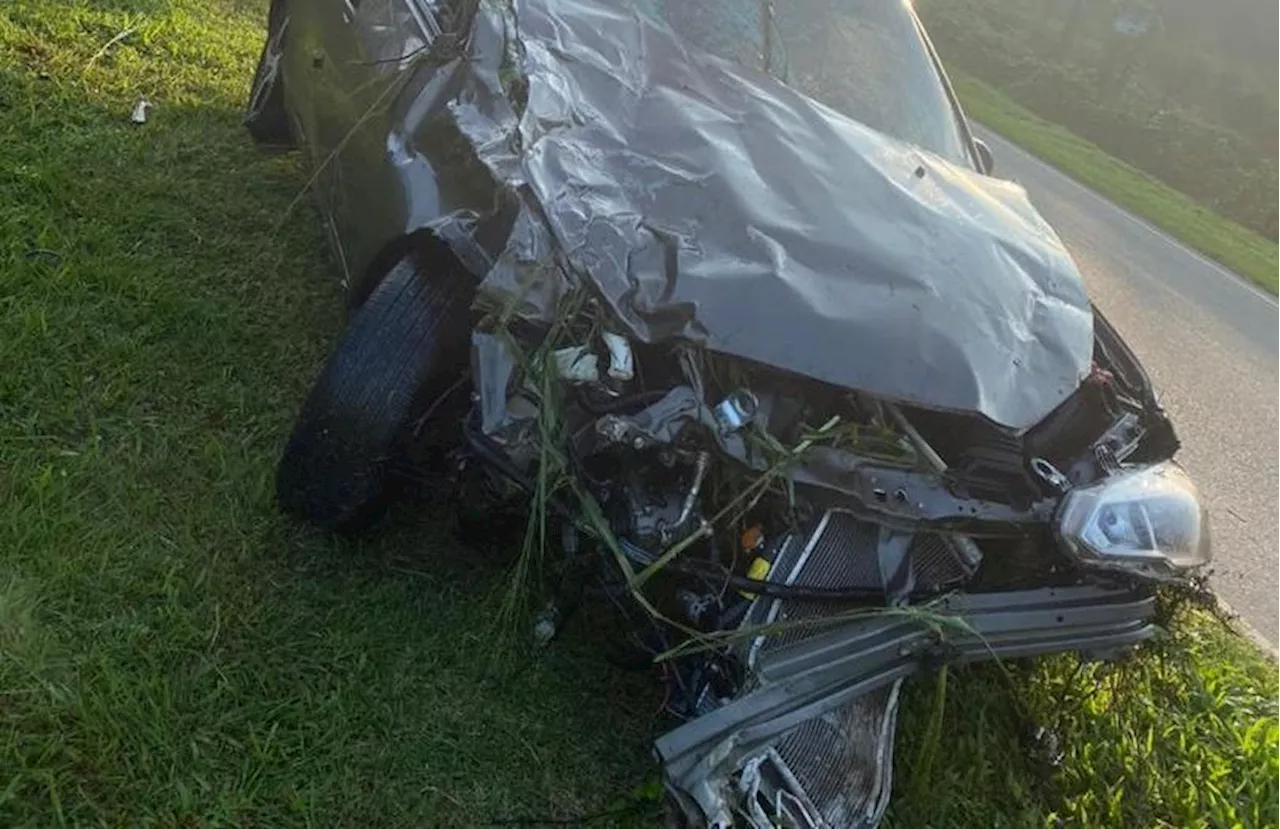 Man dies, six injured after accident involving car, bike and cow in Johor