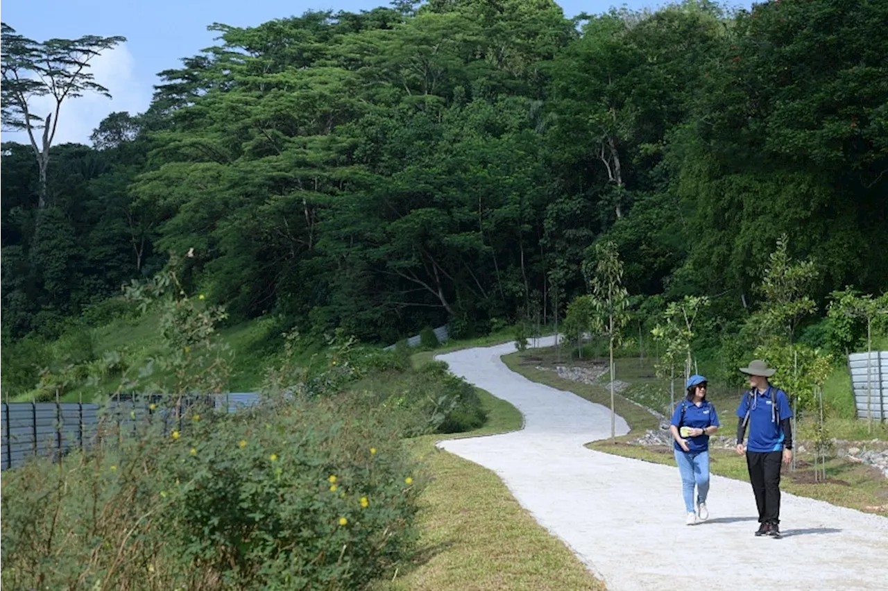 New Jurong Town Hall Park Connector to add 2km of green trails to Clementi Nature Corridor