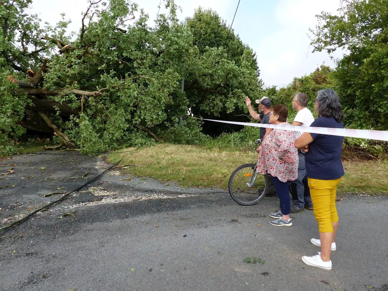 Charente-Maritime : une « microrafale » s’abat sur Saint-Vaize