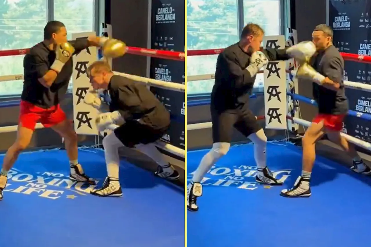 – Video emerges of Canelo Alvarez sparring with Teofimo Lopez ahead of Edgar Berla...