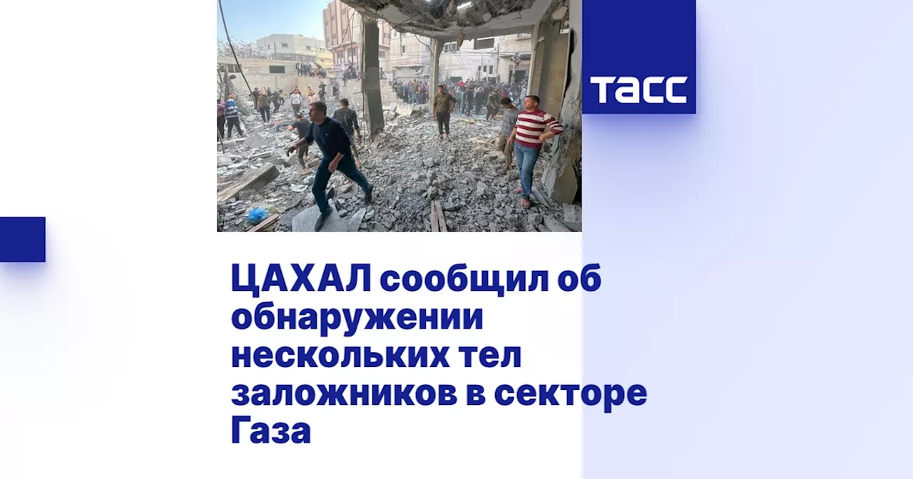 ЦАХАЛ сообщил об обнаружении нескольких тел заложников в секторе Газа