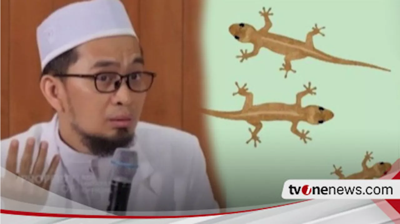 Tolong Keberadaan Cicak di Rumah Jangan Diabaikan, Kata Ustaz Adi Hidayat Menjadi Pertanda Buruk, Karena ...