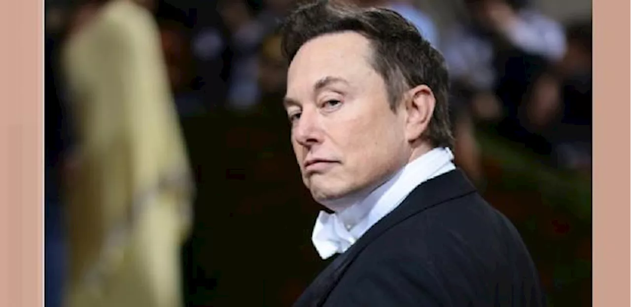 Elon Musk diz que vai divulgar supostos crimes de Moraes no X