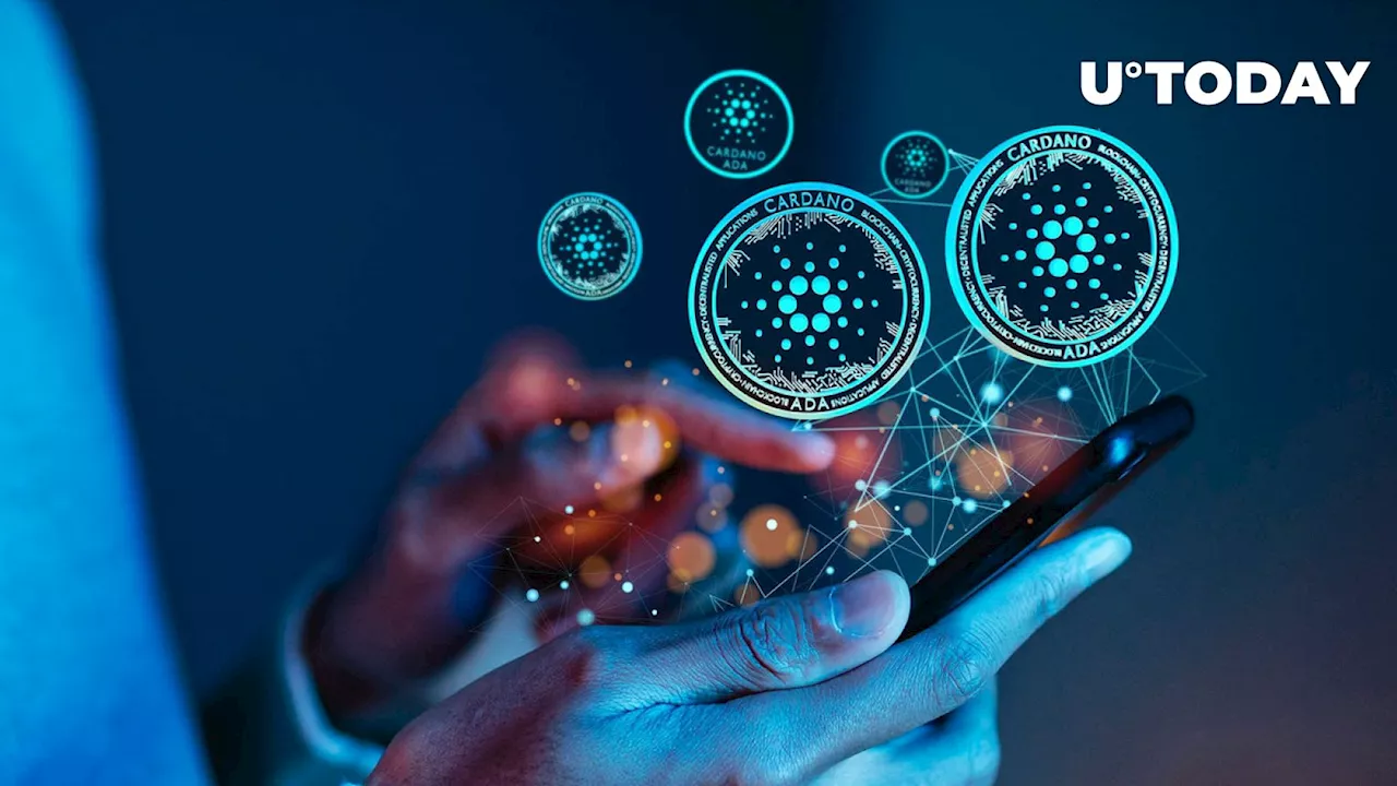 100,000,000 ADA in Liquidity: Cardano-Based Protocol Shares Update