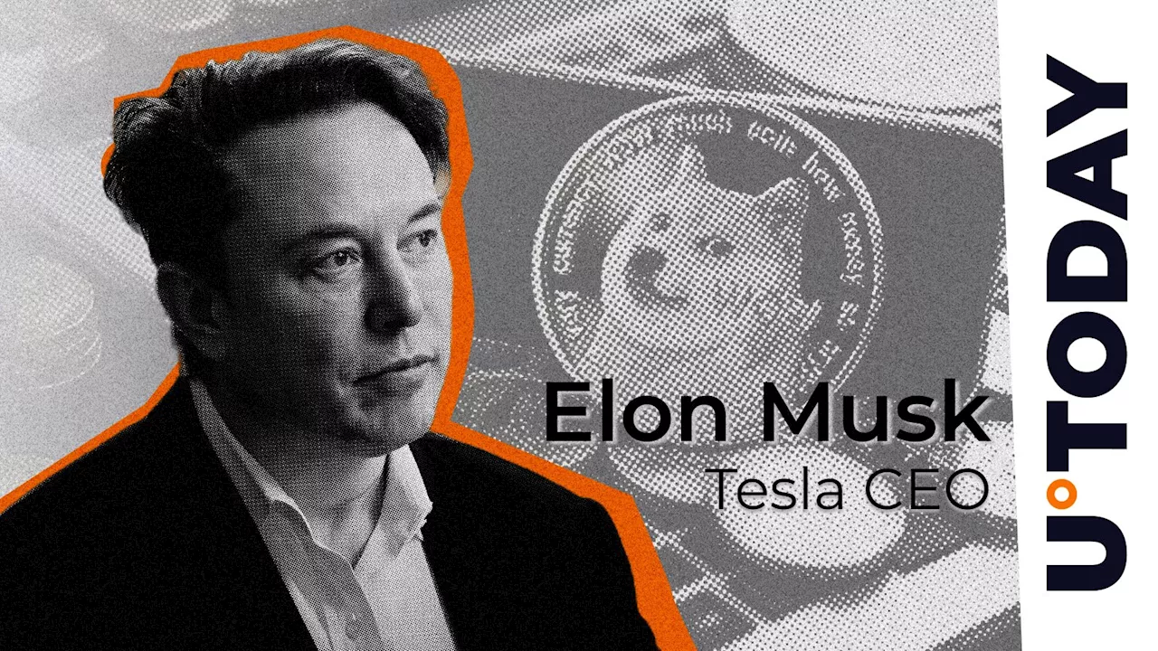 Elon Musk Defeats $258 Billion Dogecoin (DOGE) Lawsuit