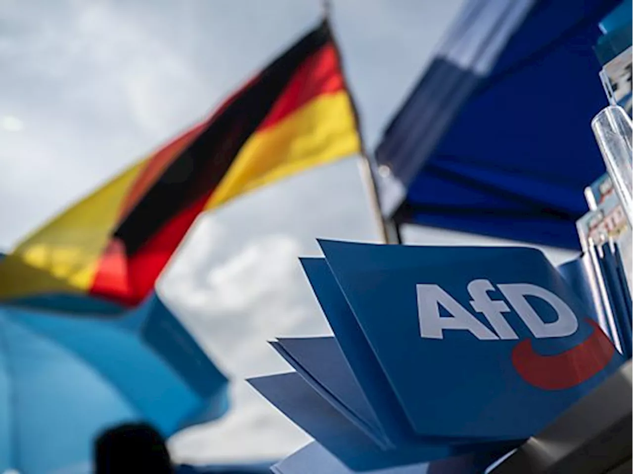 Wahlen in Sachsen und Thüringen: AfD-Abschneiden Fokus