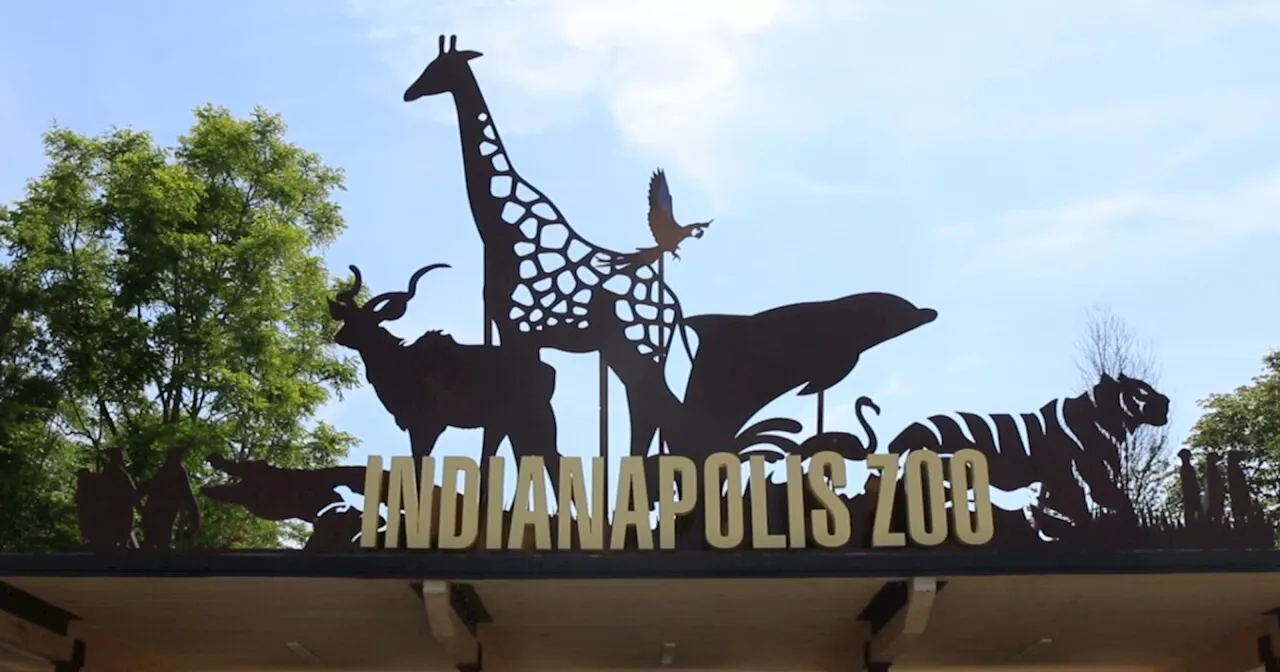 Indianapolis Zoo certified as sensory inclusive