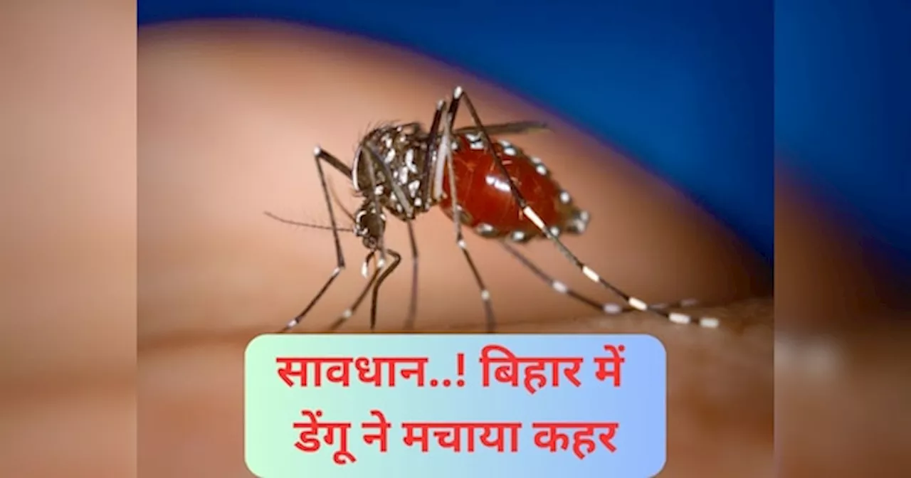 Dengue In Bihar: बिहार में कई जिलों में डेंगू तेजी से पसार रहा पांव, पटना बना हॉटस्पॉट, अब तक 675 केस