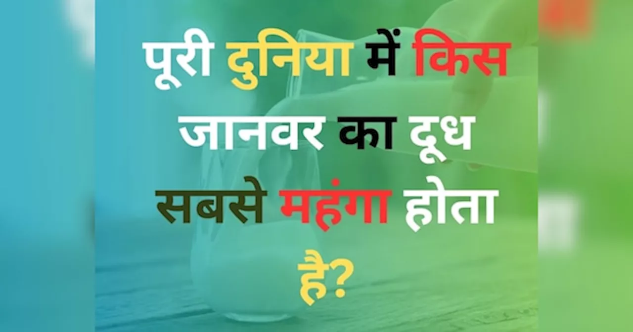 GK Quiz: दुनिया में किस जानवर का दूध सबसे महंगा होता है?