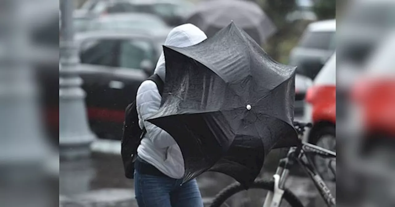 Rajasthan Weather Update: राजस्थान में फिर एक्टिव होगा मानसून, IMD ने जयपुर, दौसा समेत इन जिलों में जारी किया बारिश का ऑरेंज अलर्ट