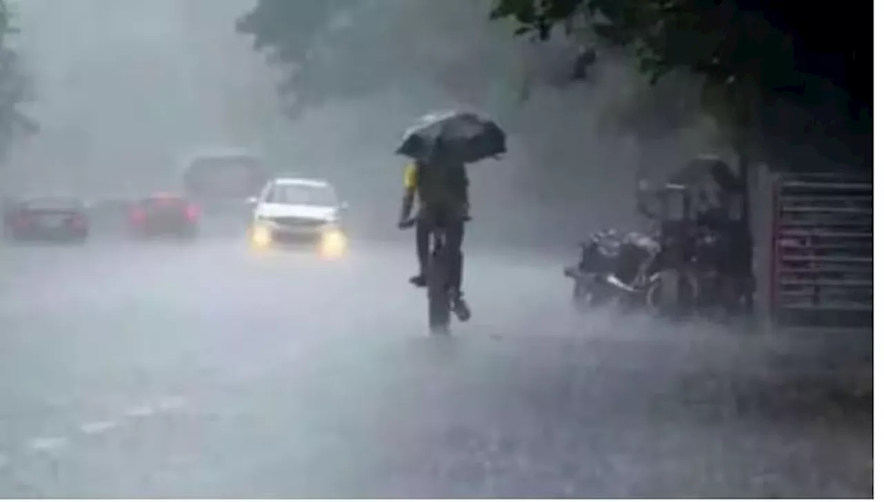 Telangana Heavy Rains: హైదరాబాద్ సహా ఈ జిల్లాల్లో భారీ వర్షాలు, ఆరెంజ్, ఎల్లో అలర్ట్ జారీ