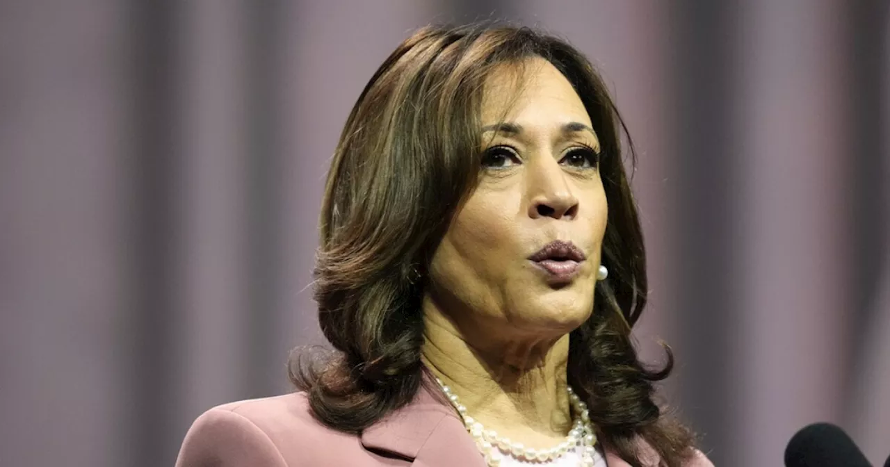 Coalition of Republicans to join Vice President Harris on the campaign trail