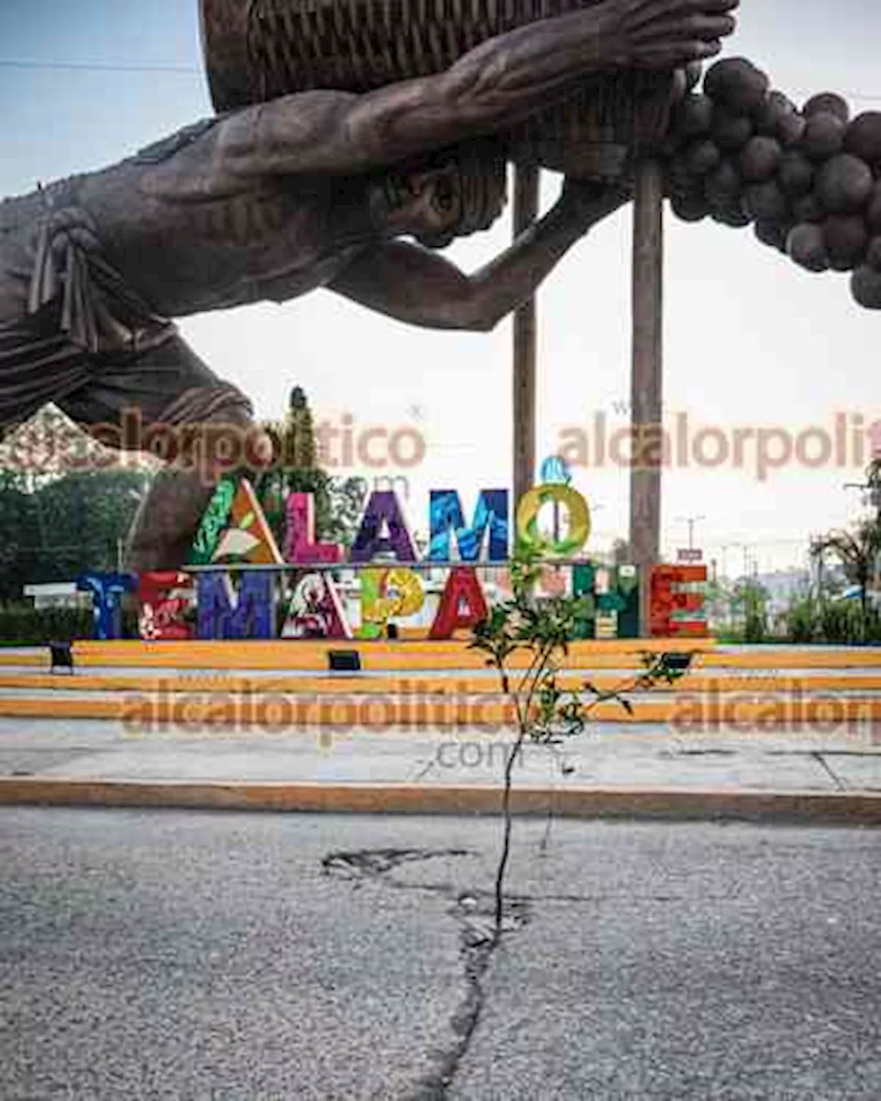 Plantan arbolitos de naranja en calles llenas de baches, en Álamo