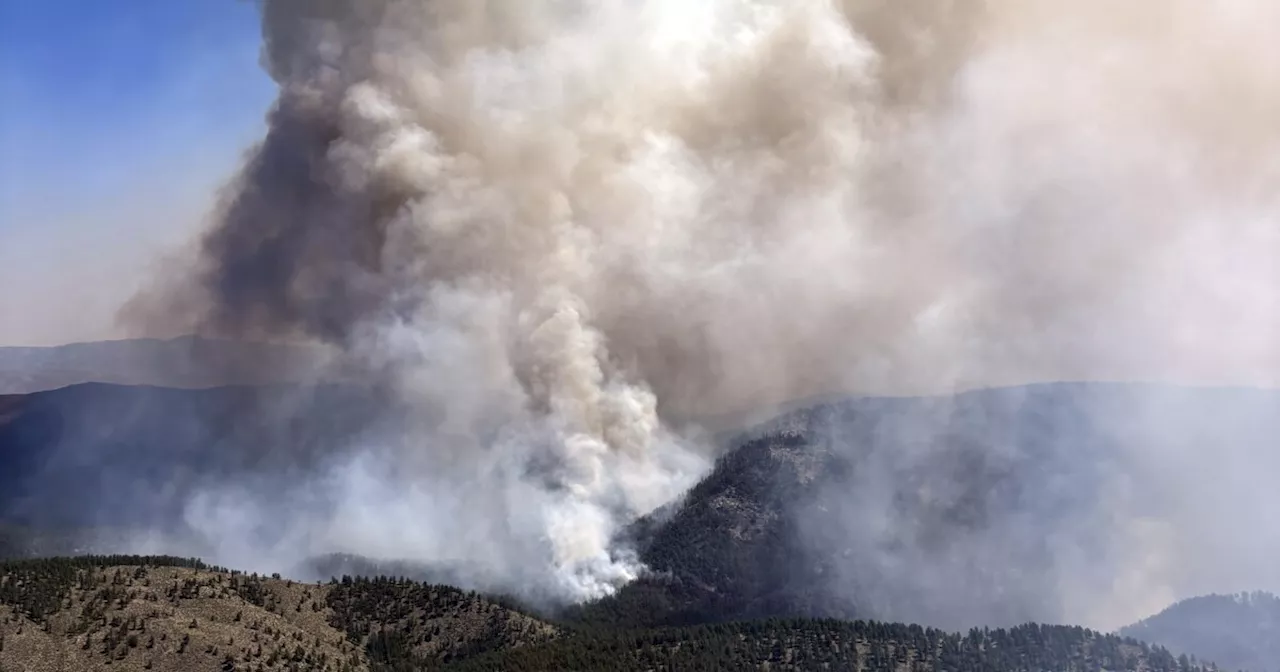 Some evacuations lifted in Alexander Mountain Fire burning in Larimer County