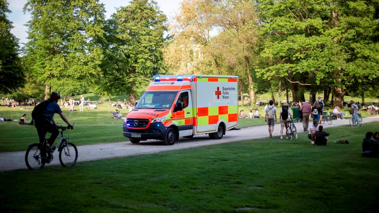 München: Abbrechender Ast verletzt zwei Menschen im Englischen Garten