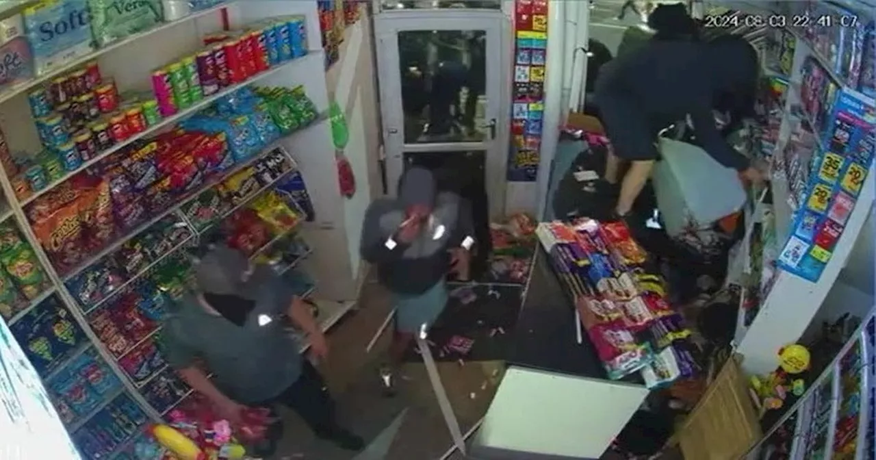 CCTV shows moment masked thugs break into County Road store as owner's pets stolen