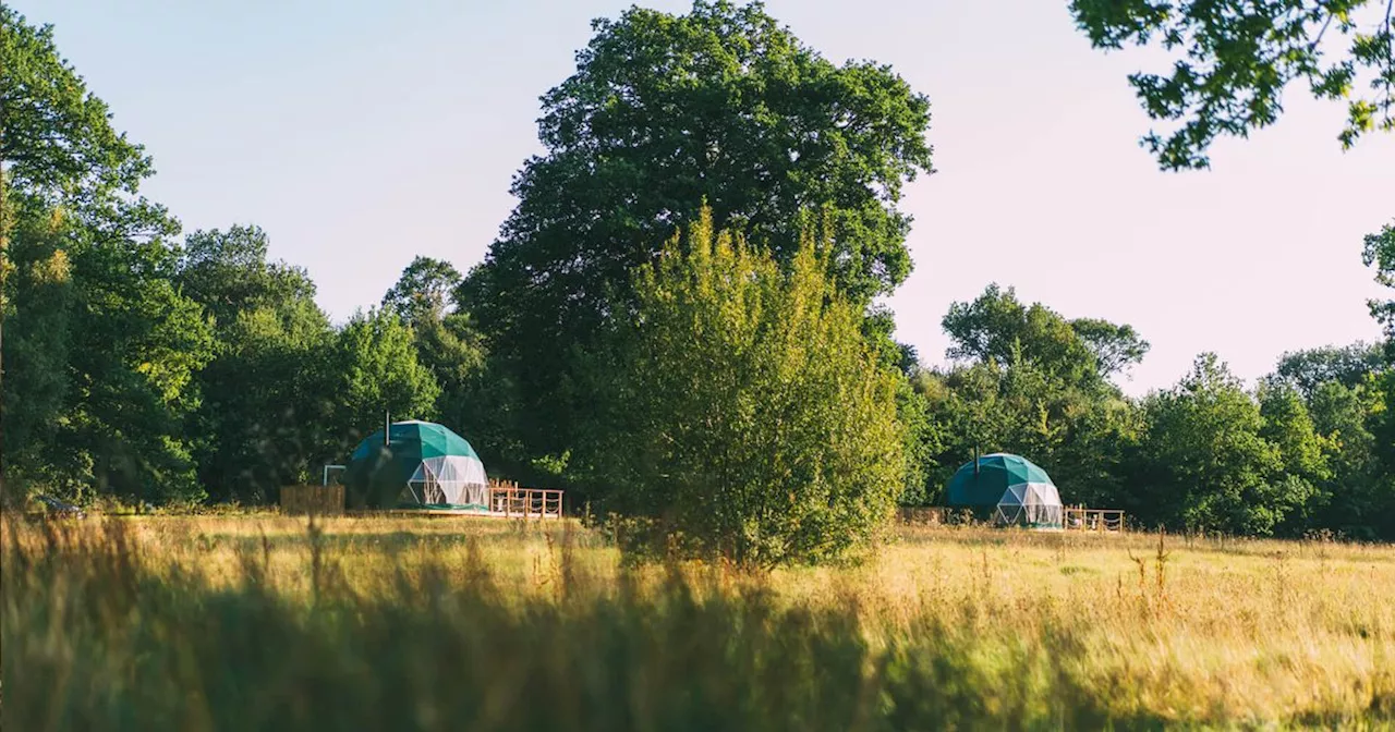 Luxury woodland campsite with its own pub and hot tub