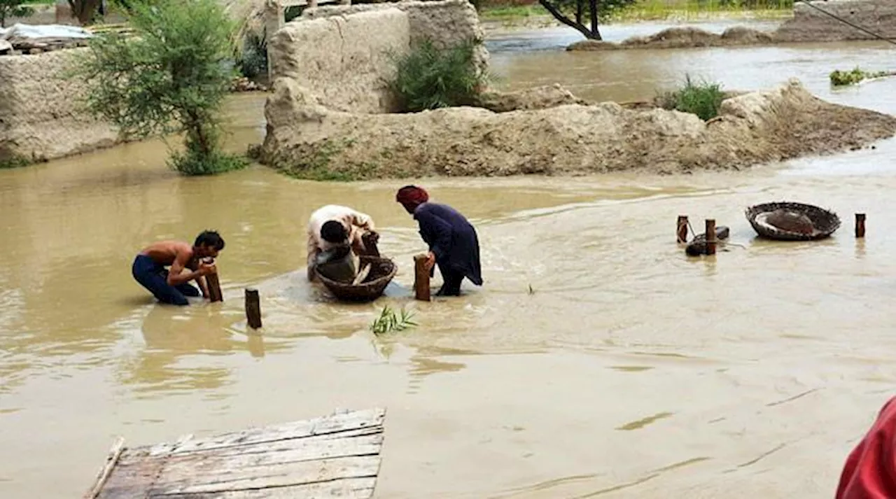 بلوچستان میں شدید بارشو ں سے تباہی، ندی نالوں میں طغیانی، 12 افراد جاں بحق