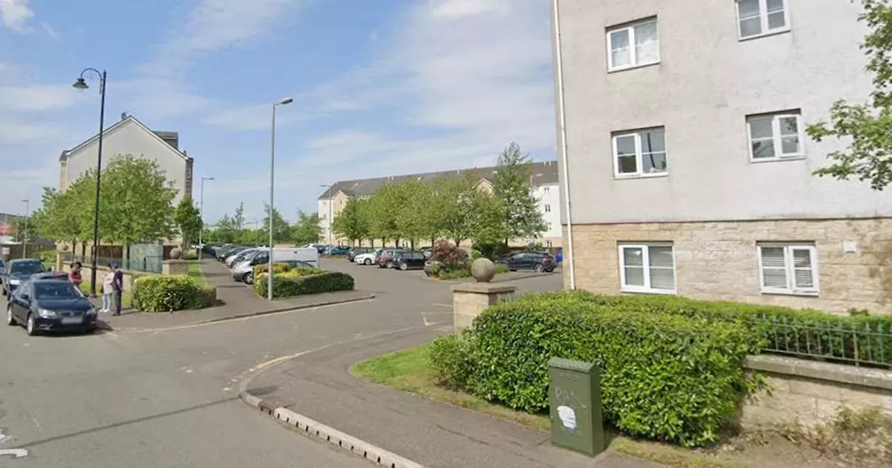 Armed police spotted on Rutherglen street as man arrested following incident