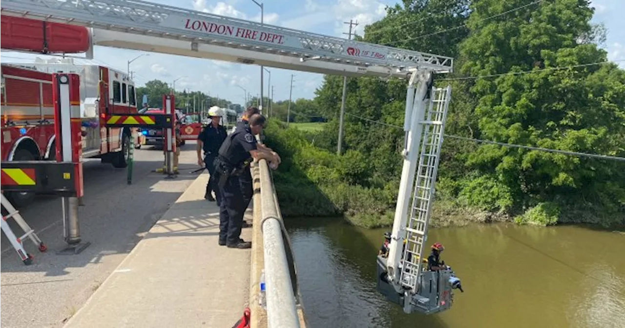 Remains of child found in Thames River: London, Ont. police