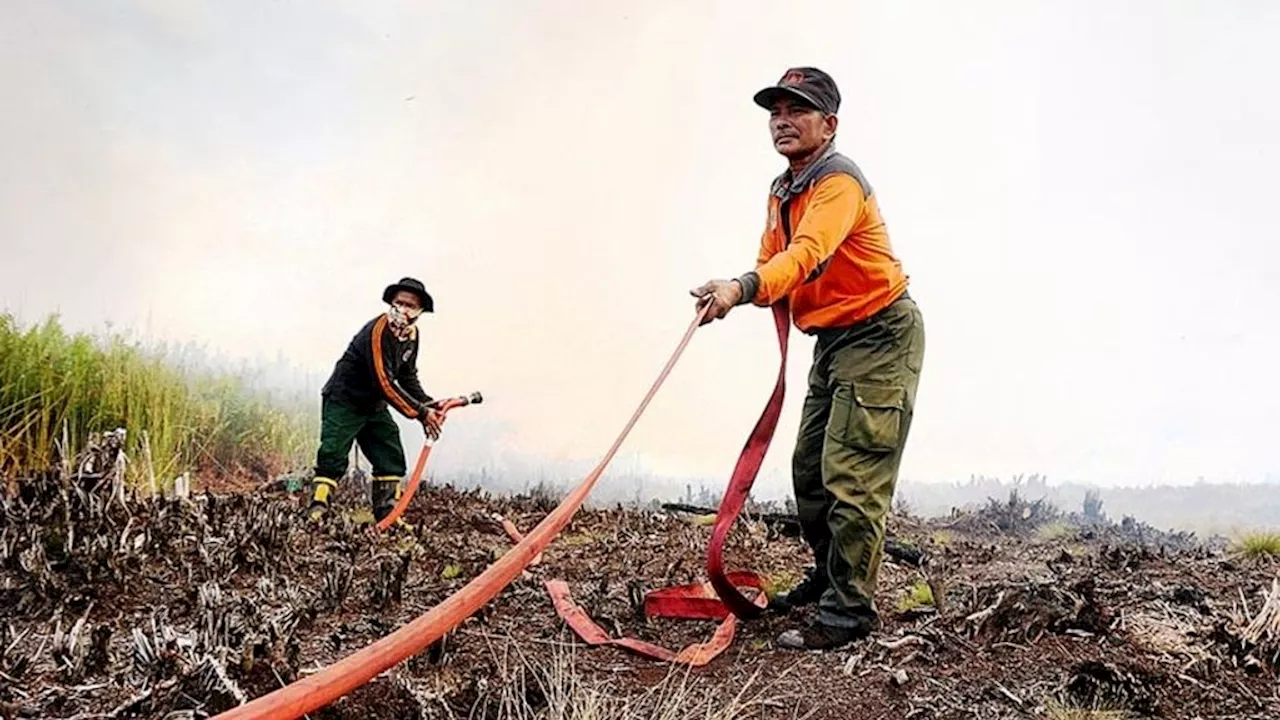 Empat Kabupaten dan Kota di Kalteng Siaga Darurat Karhutla