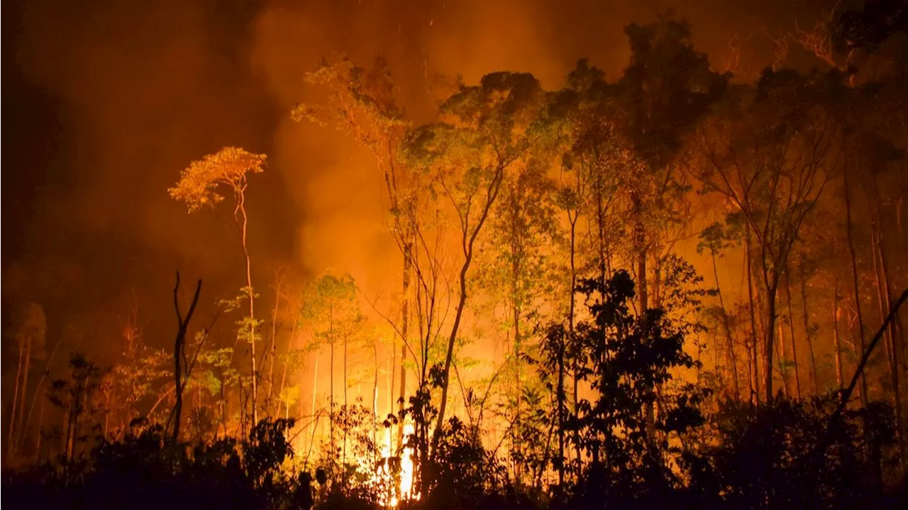  Verheerende Waldbrände auch in Österreich möglich