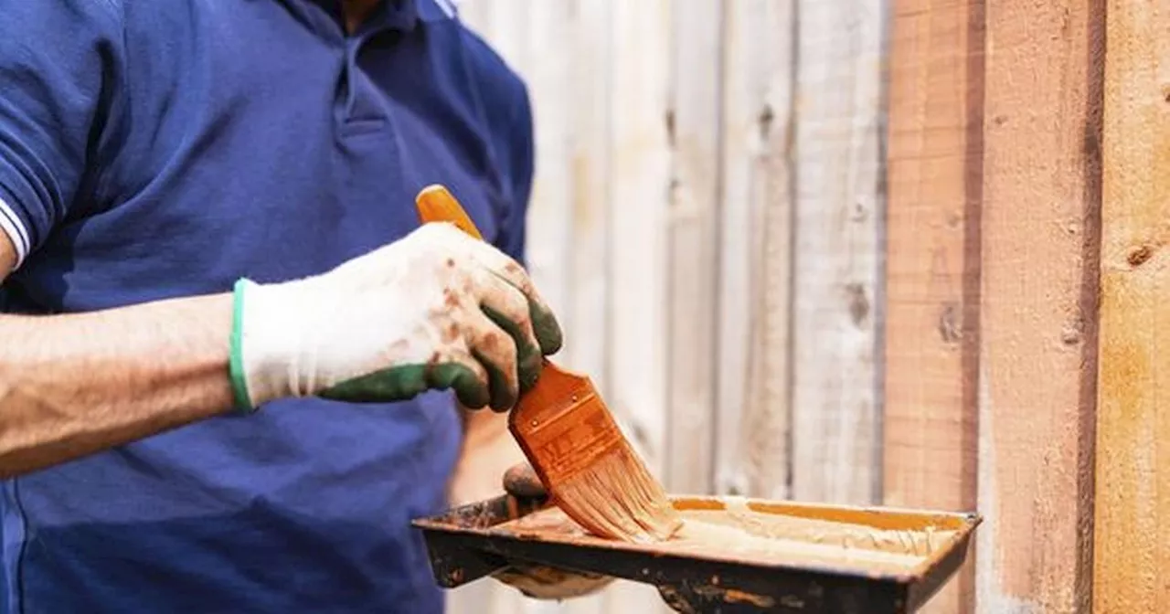 'My entitled neighbour wants me to repaint garden fence