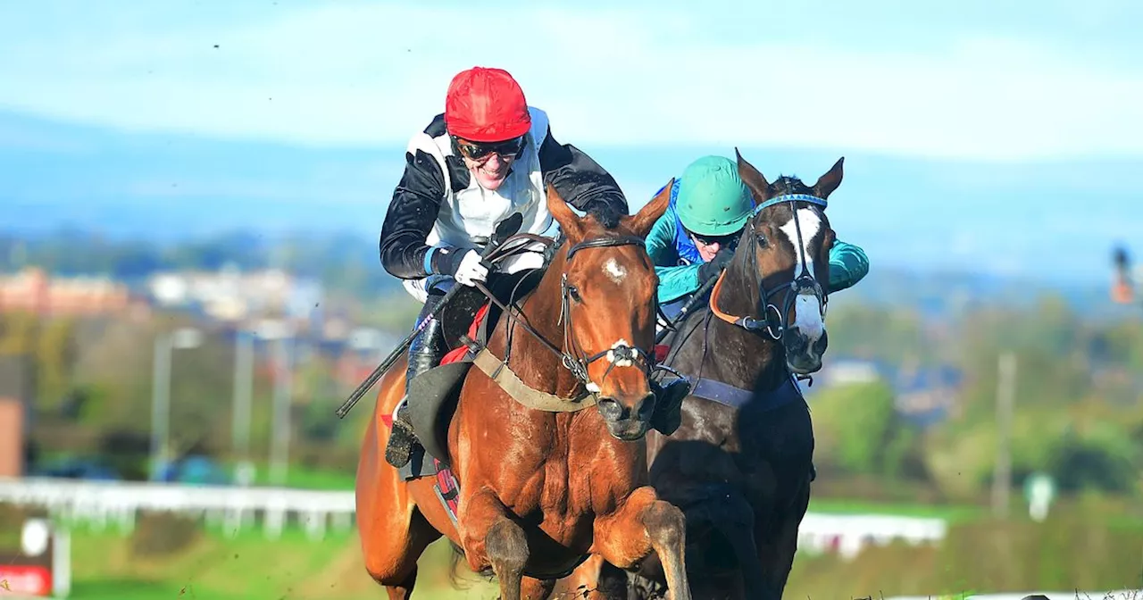 Newsboy's racing tips for Monday's three meetings, including Carlisle nap