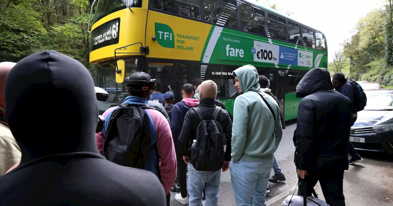 Dublin Bus planning ‘enhanced services’ to Crooksling asylum seeker site following capacity complaints