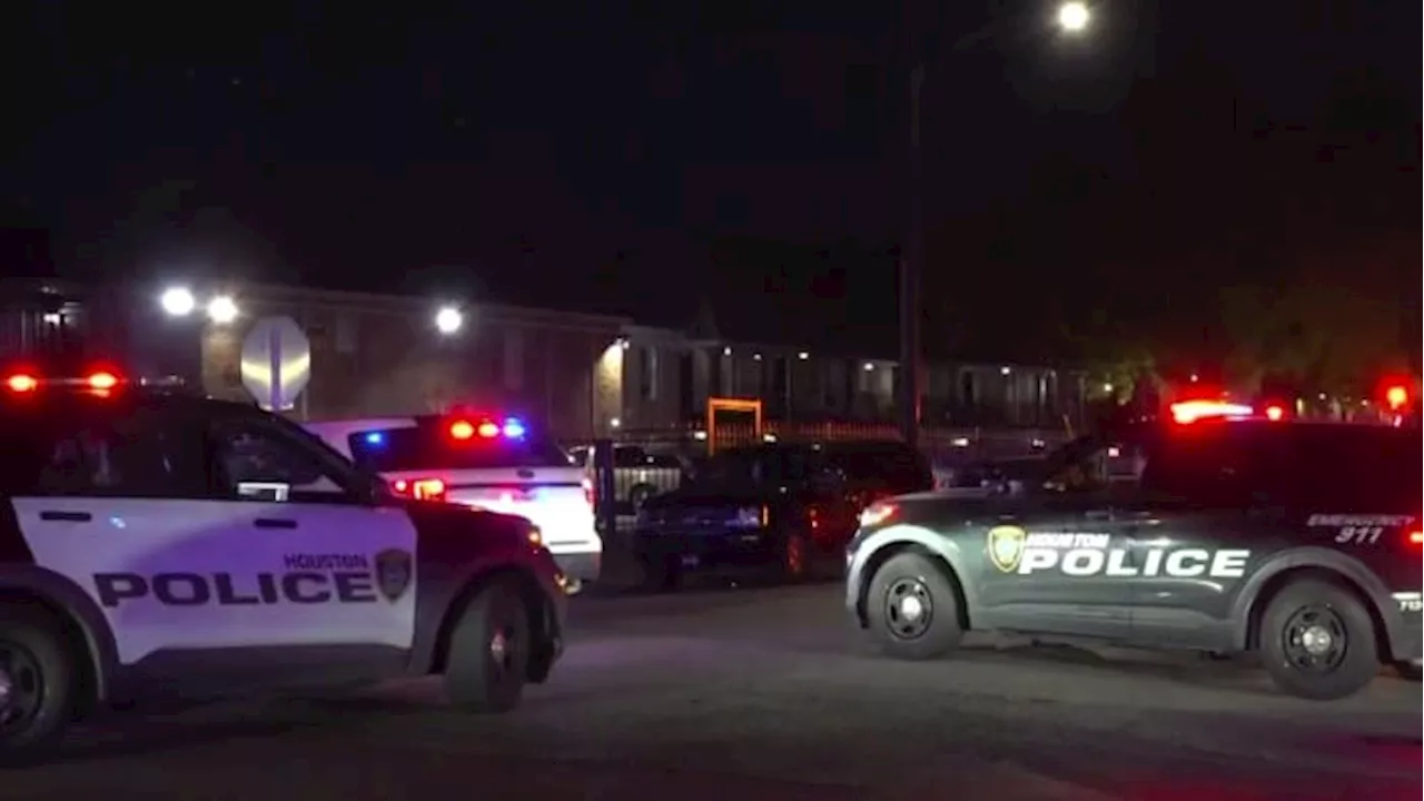 Man shot, killed outside of SW Houston apartment