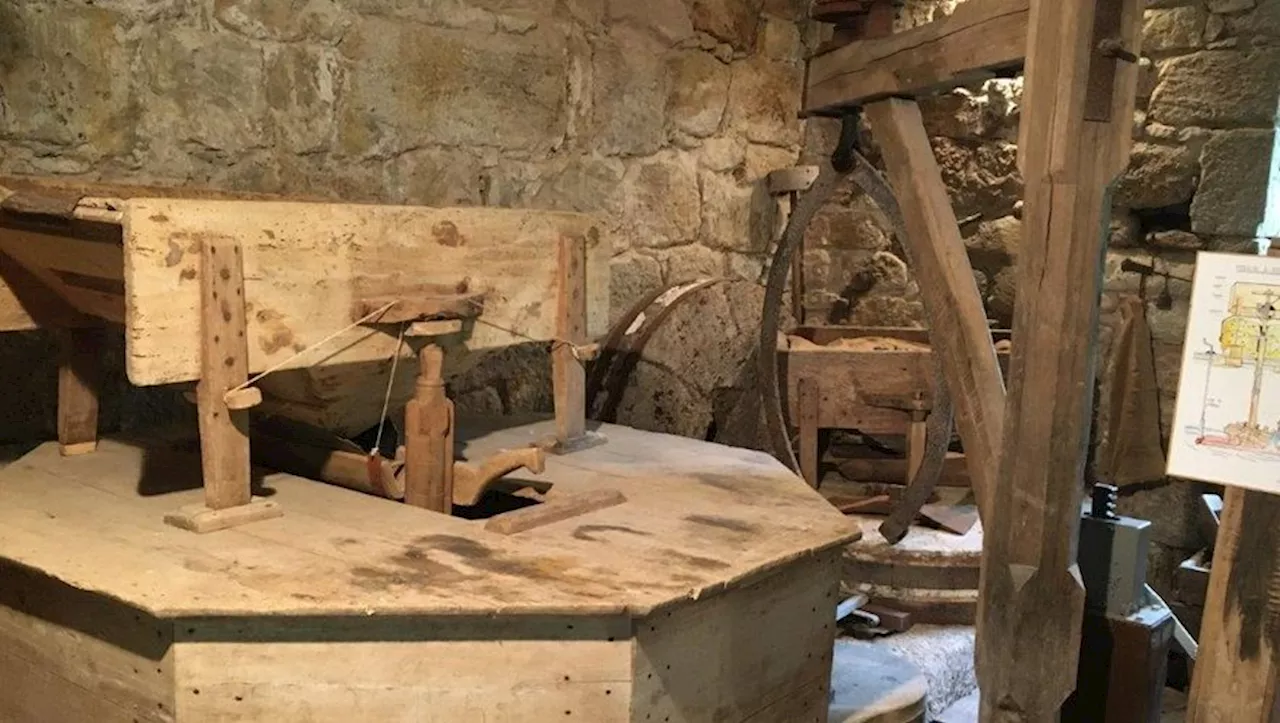 Capdenac-Gare. Visite : dans la peau des meuniers d’antan