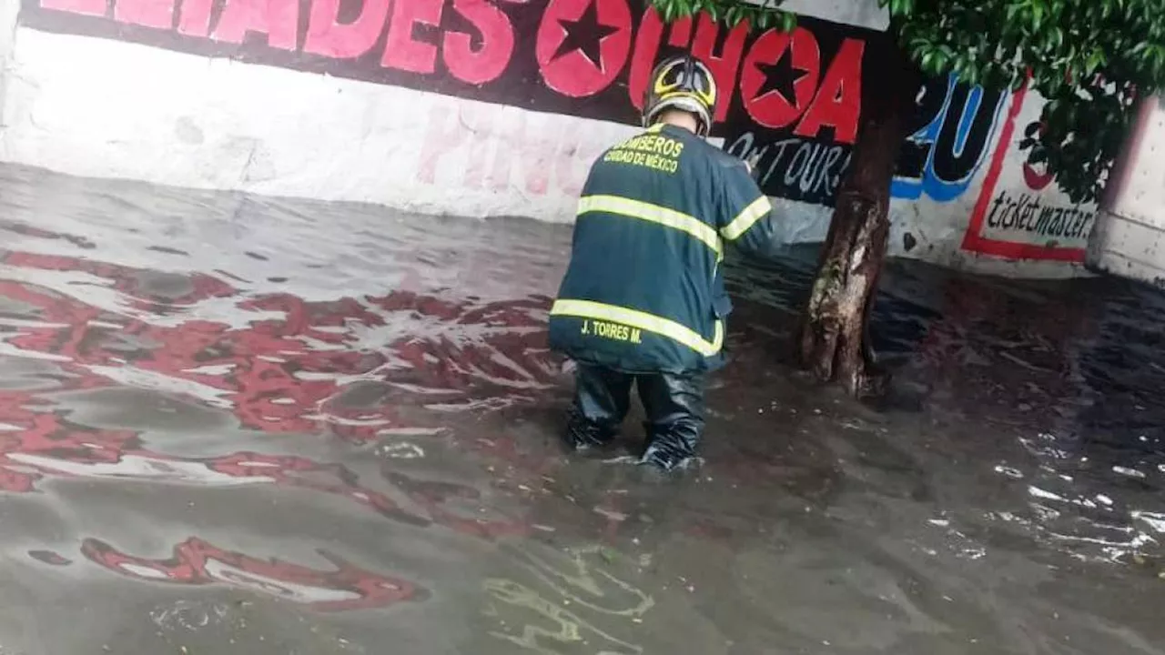 Lluvias provocan encharcamientos y árboles caídos en CDMX; activan Alerta Amarilla en estas alcaldías