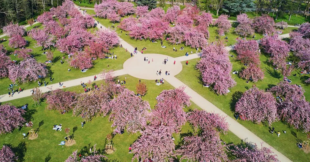 3 virées dans le Grand Paris pour mêler nature, patrimoine et culture