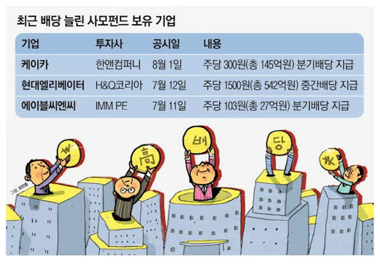 변동성 장세에 PEF투자 고배당株 눈길