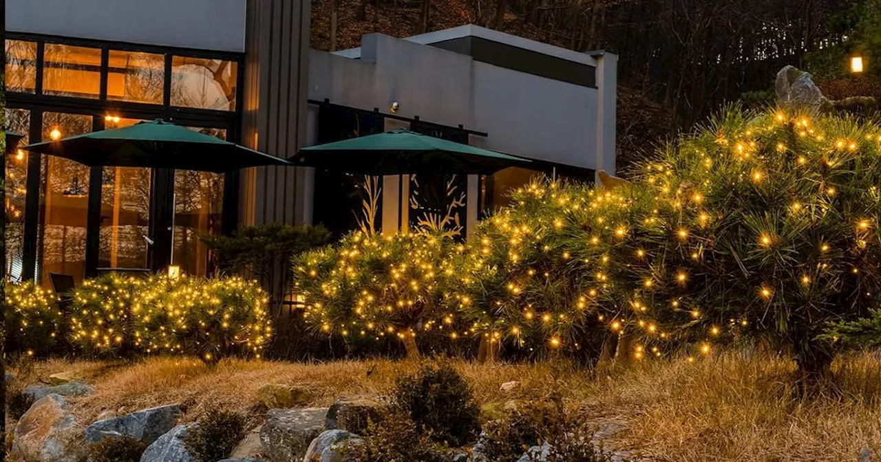 Amazon's £12 solar-powered Christmas lights make gardens a 'haven' this summer