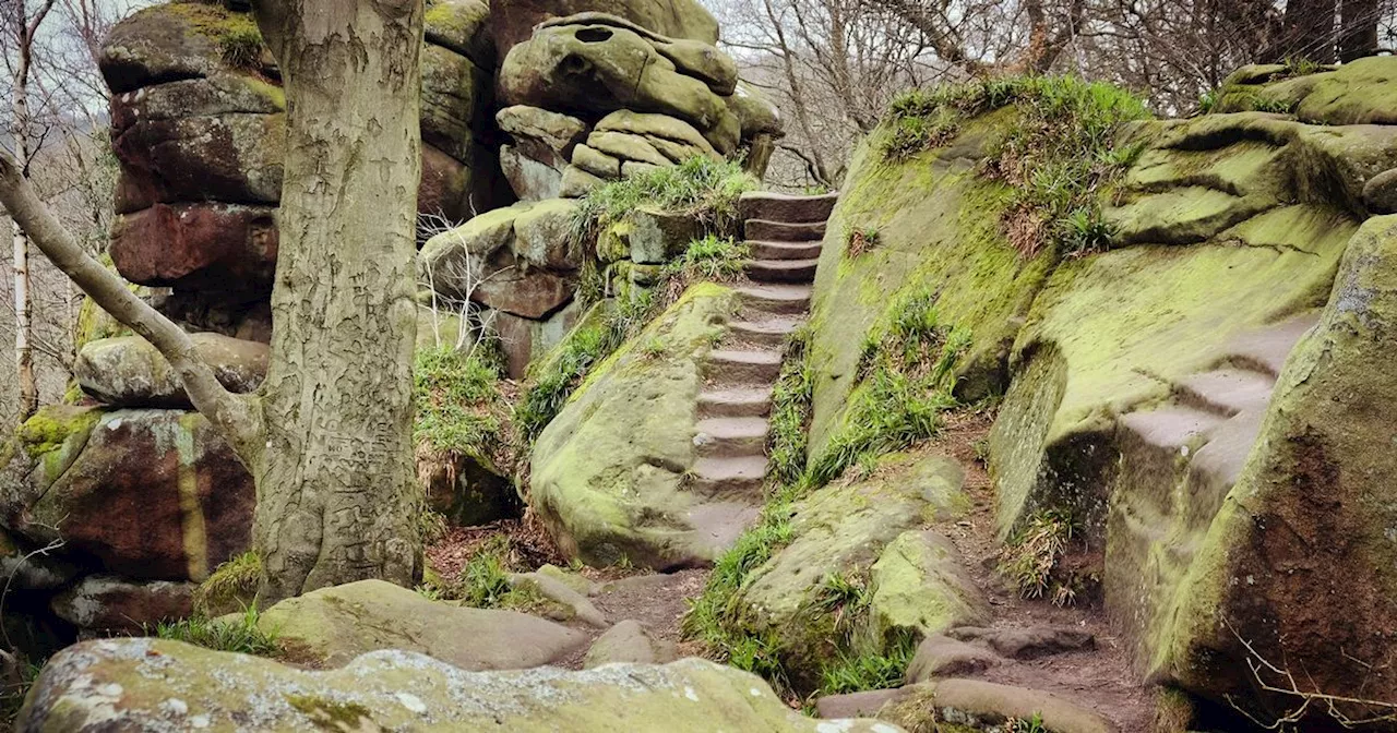 The eerie Peak District 'druid' grotto like something from a fairytale