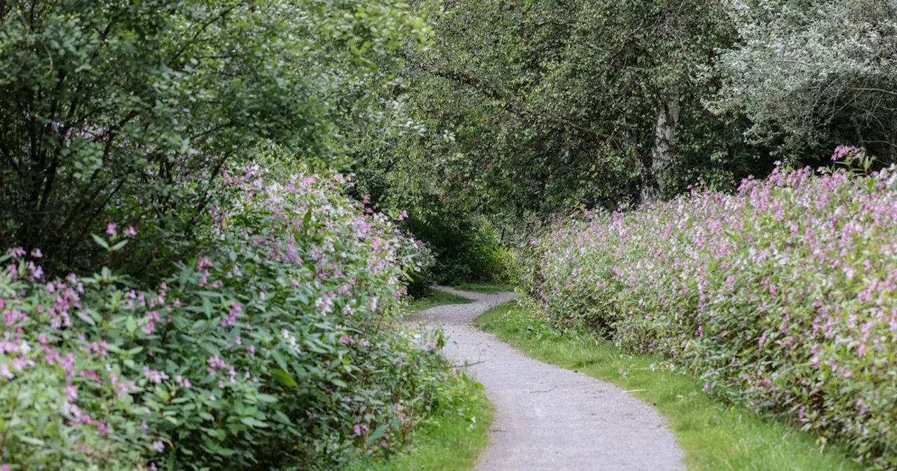 This country park is becoming a hotspot for knifepoint robberies