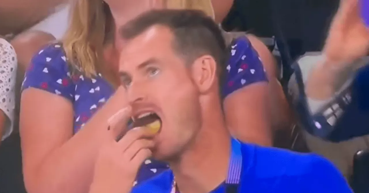 Andy Murray enjoying retirement as he scoffs doughnut with fellow tennis legend