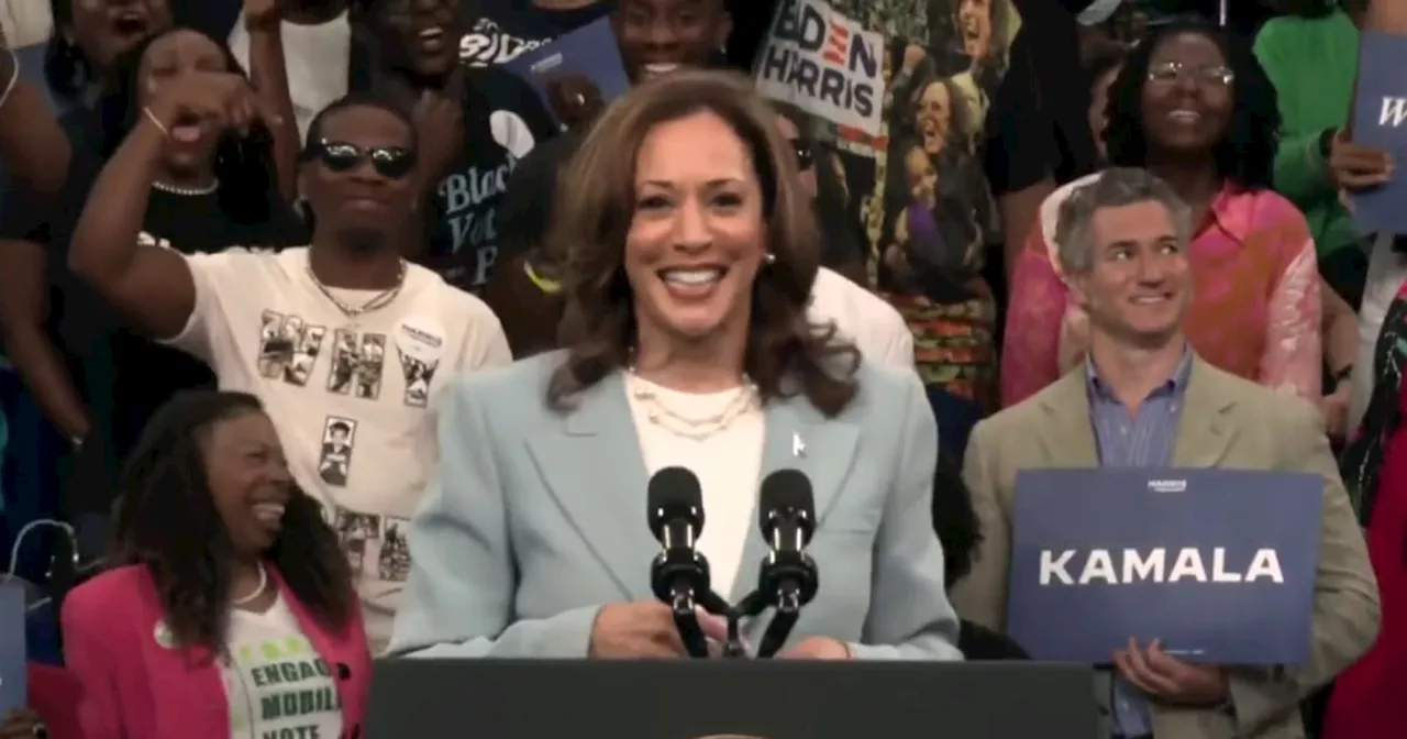 VP Kamala Harris' POTUS bid 'is as Black as it gets': Jonathan Capehart