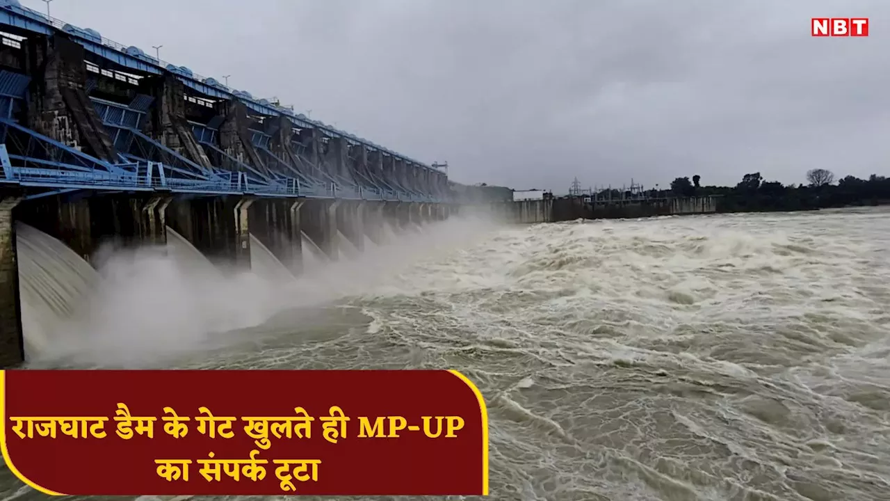 Ashoknagar News: झमाझम बारिश से फुल हुआ बेतवा पर बना राजघाट डैम, पानी निकालने 14 गेट खोलते ही MP- UP का संपर्क टूटा