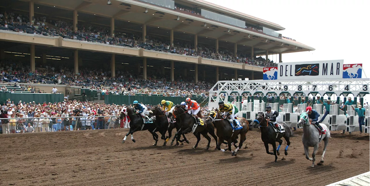 Horse euthanized after racing injury at Del Mar, third equine death of summer season