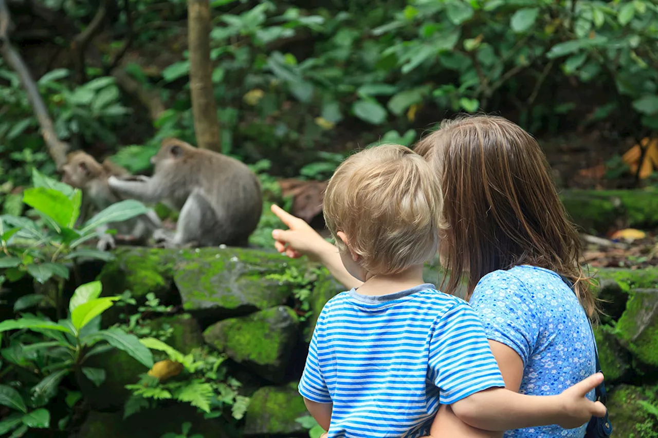 Warning over cheap zoo ticket scam targeting families – parents urged not to click
