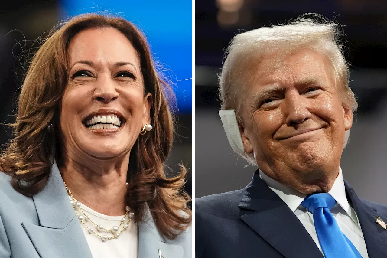 Kamala Harris Only Leads Donald Trump in One Battleground State: Poll