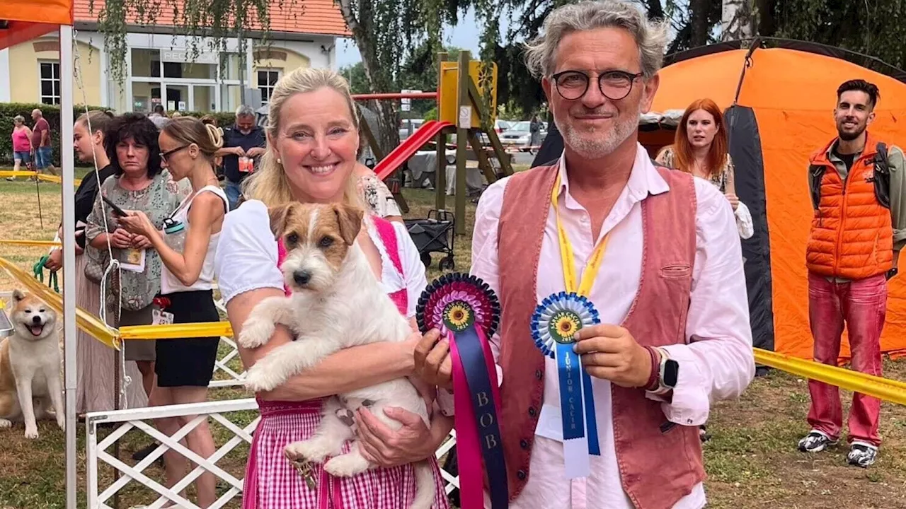 Hundeshow in Sárvár: Nina Prochaska triumphiert mit Terrier-Nachwuchs